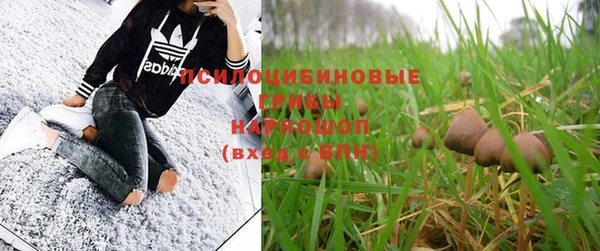 PSILOCYBIN Красноперекопск