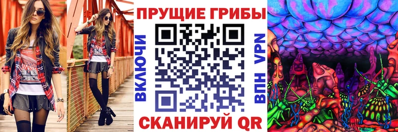 Псилоцибиновые грибы мухоморы  Купить где  Киров 